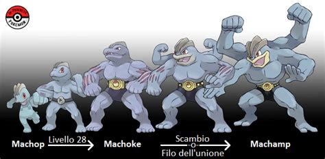 machamp sun evolution